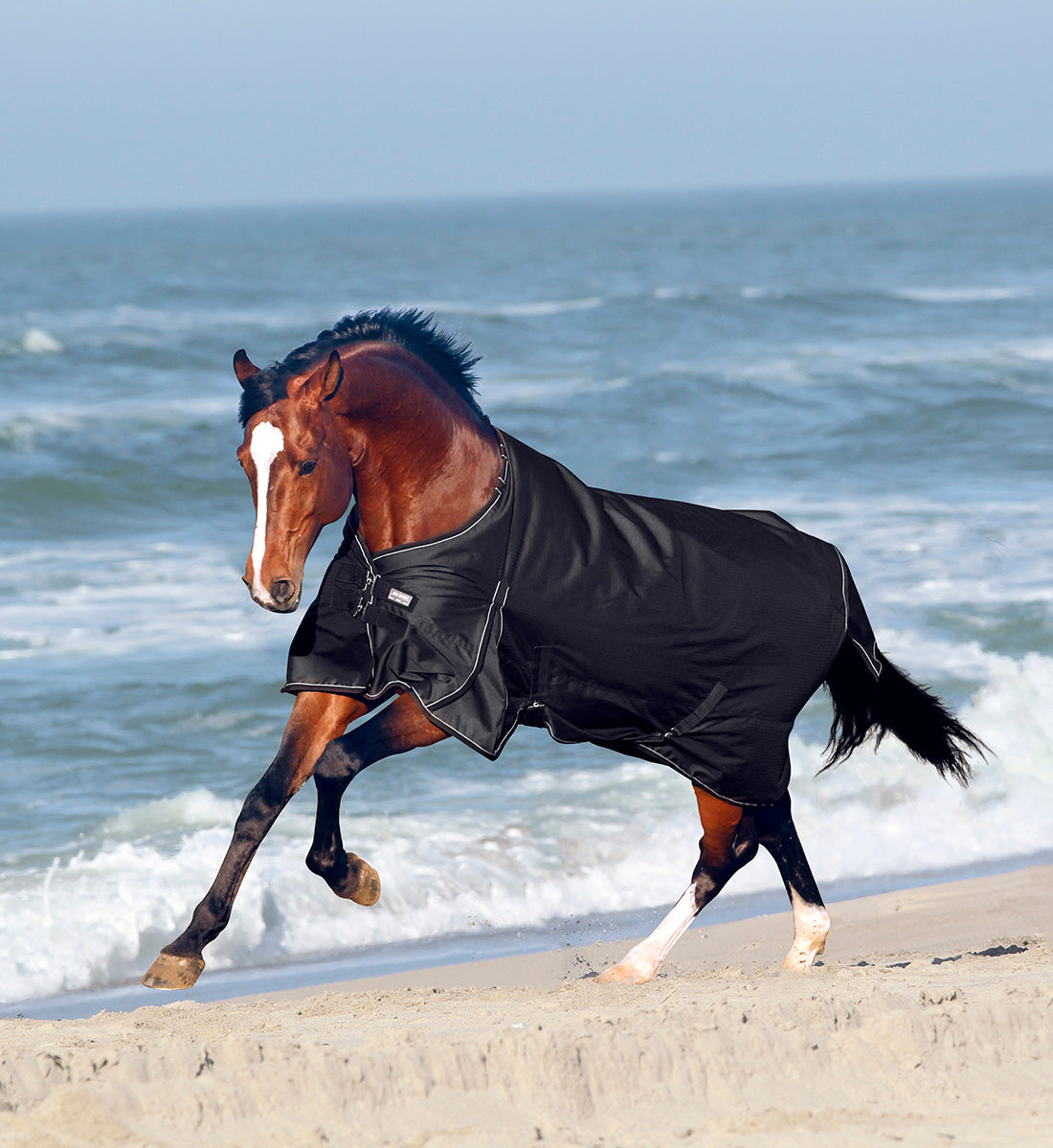 Regndækken RBH SPORT i farven sort