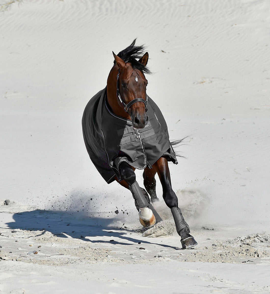 Regndækken RBH SPORT i farven sort, set forfra