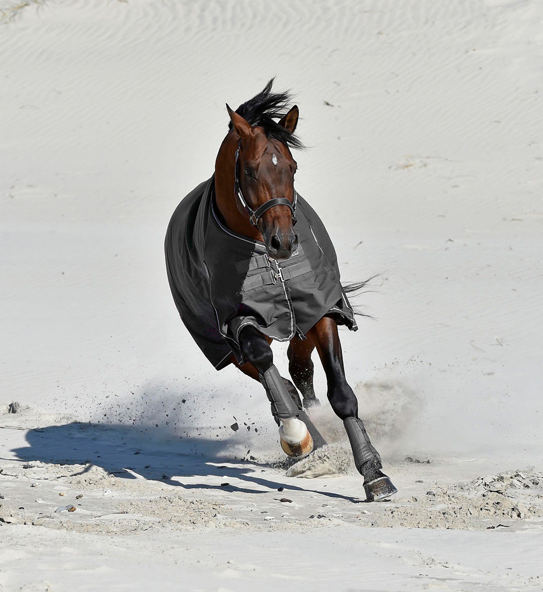 Regndækken RBH SPORT i farven sort, set forfra