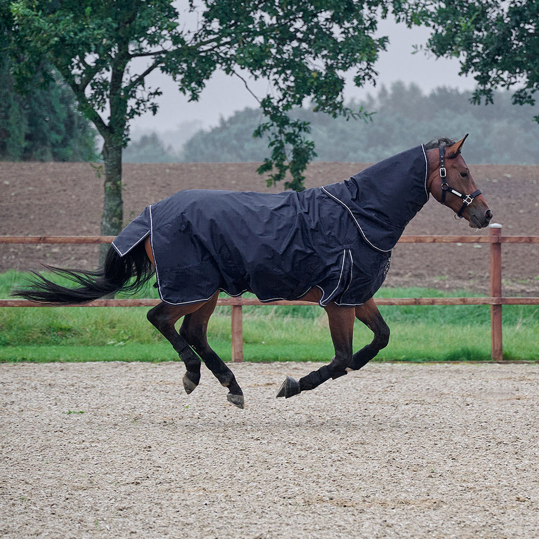 RBH SPORT dækken hals i sort