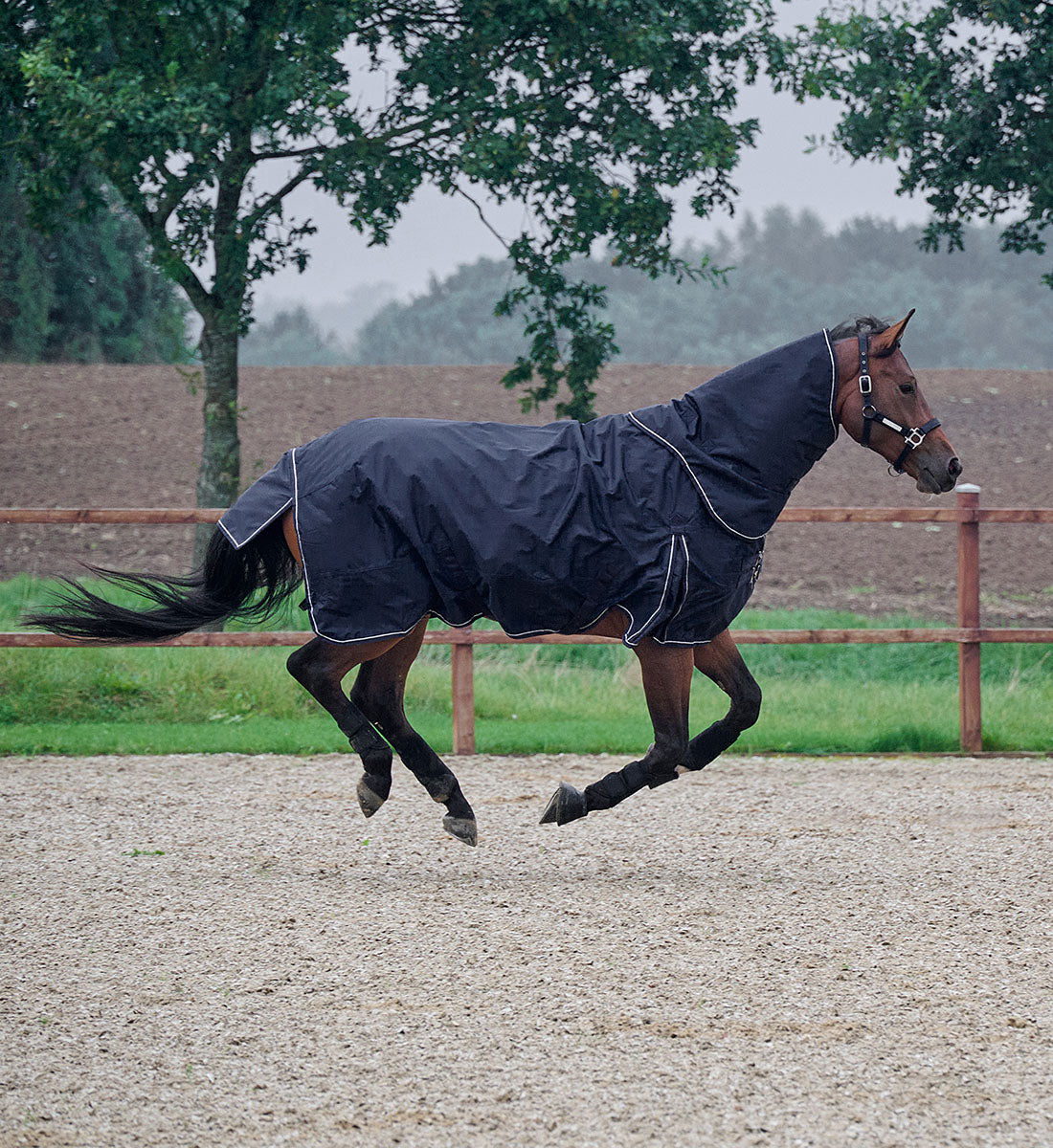 RBH SPORT dækken hals i sort