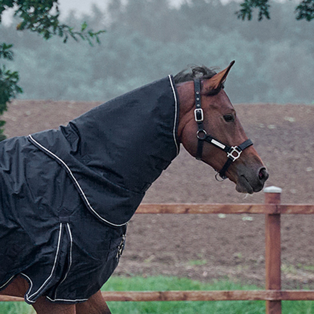 RBH SPORT dækkenhals i sort