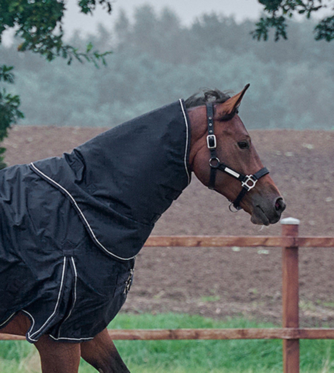 RBH SPORT dækkenhals i sort