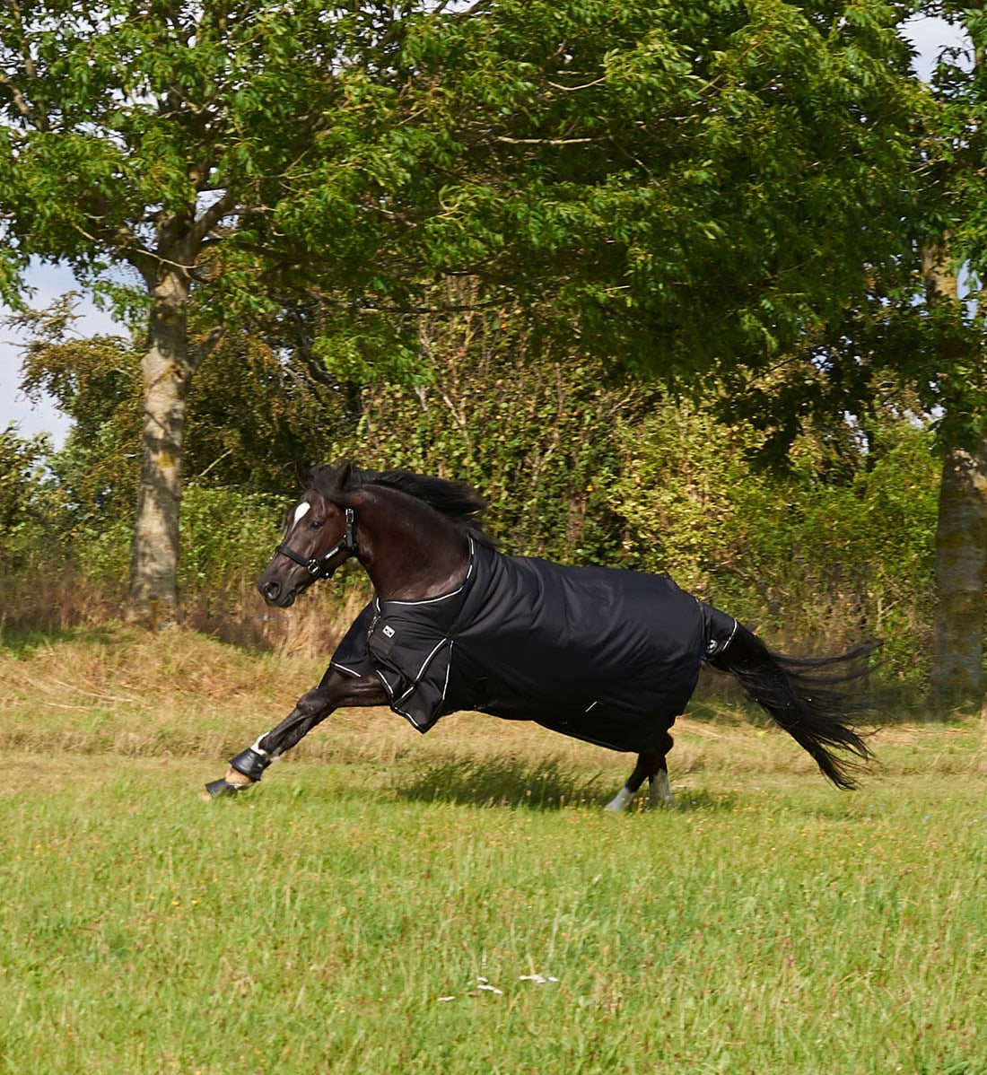 Overgangsdækken i 200g i sort