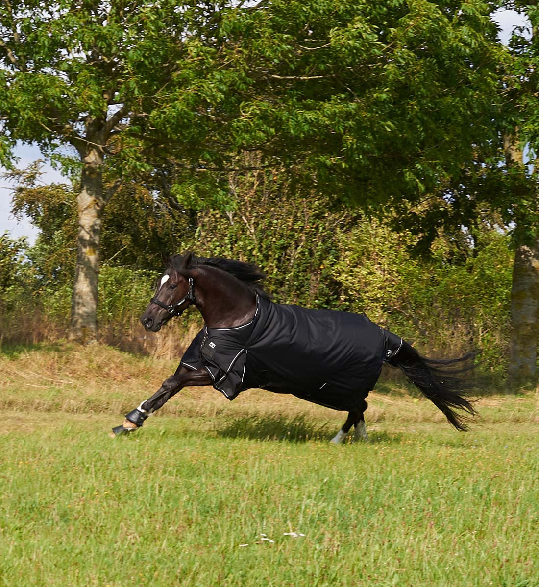 Overgangsdækken i 200g i sort