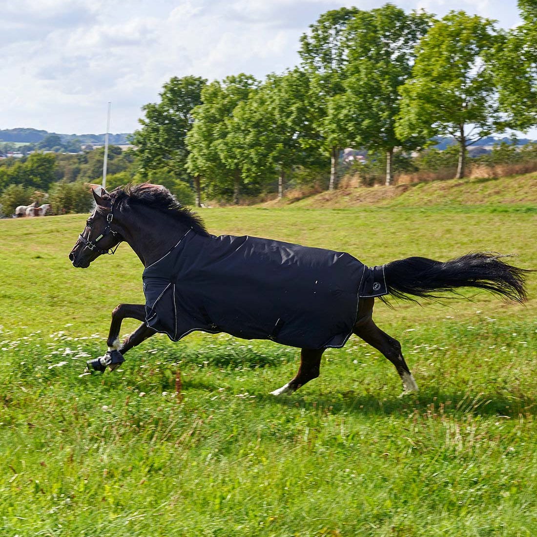 Vinterdækken i 350g RBH SPORT i sort