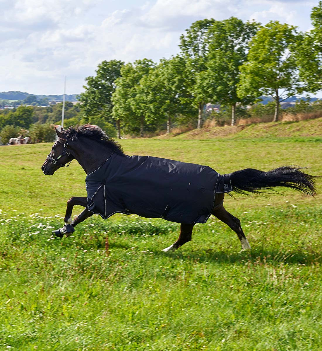 Vinterdækken i 350g RBH SPORT i sort