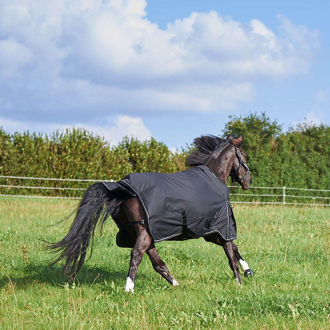 Vinterdækken 450g ekstra tykt og varmt dækken i farven sort.