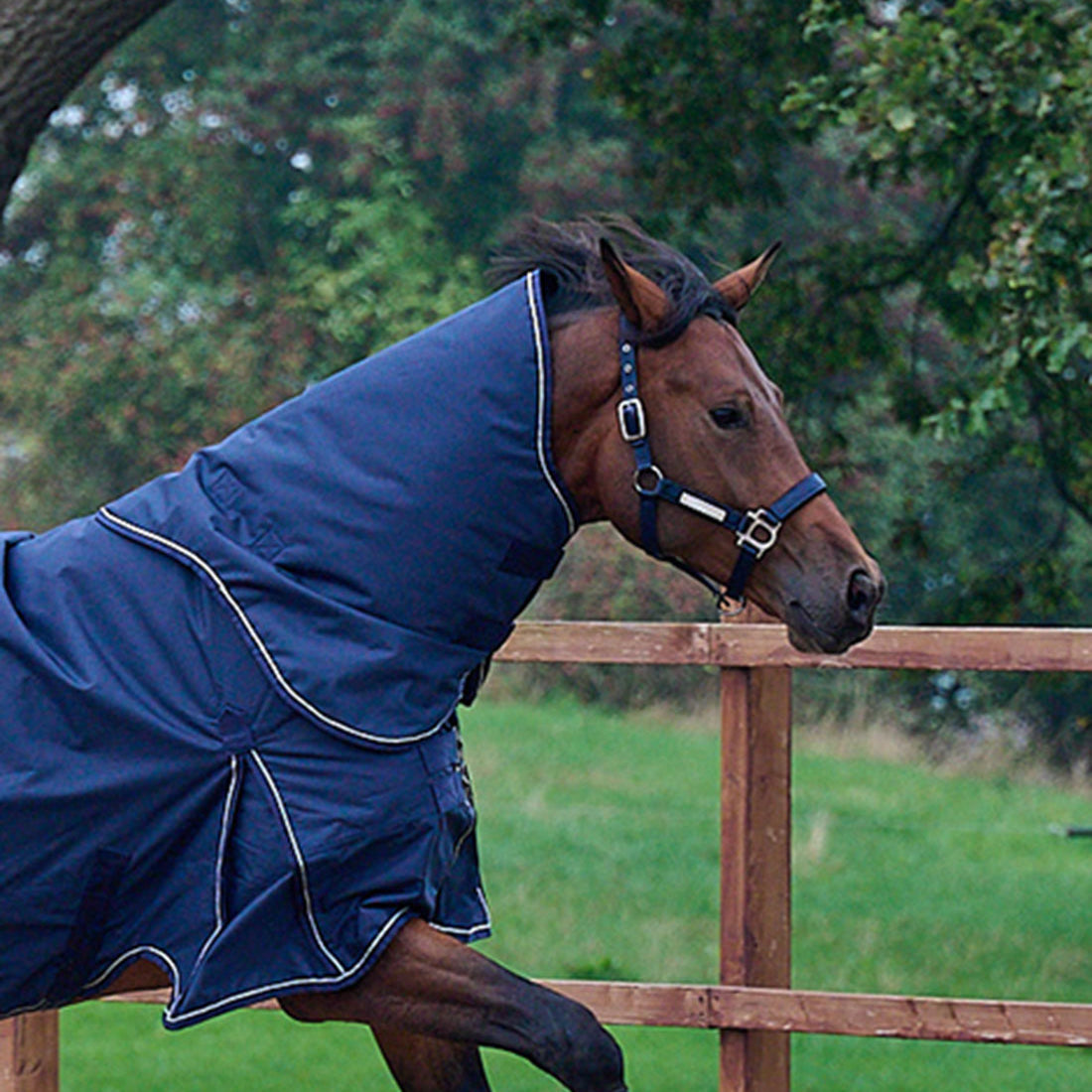 RBH SPORT dækkenhals i navy