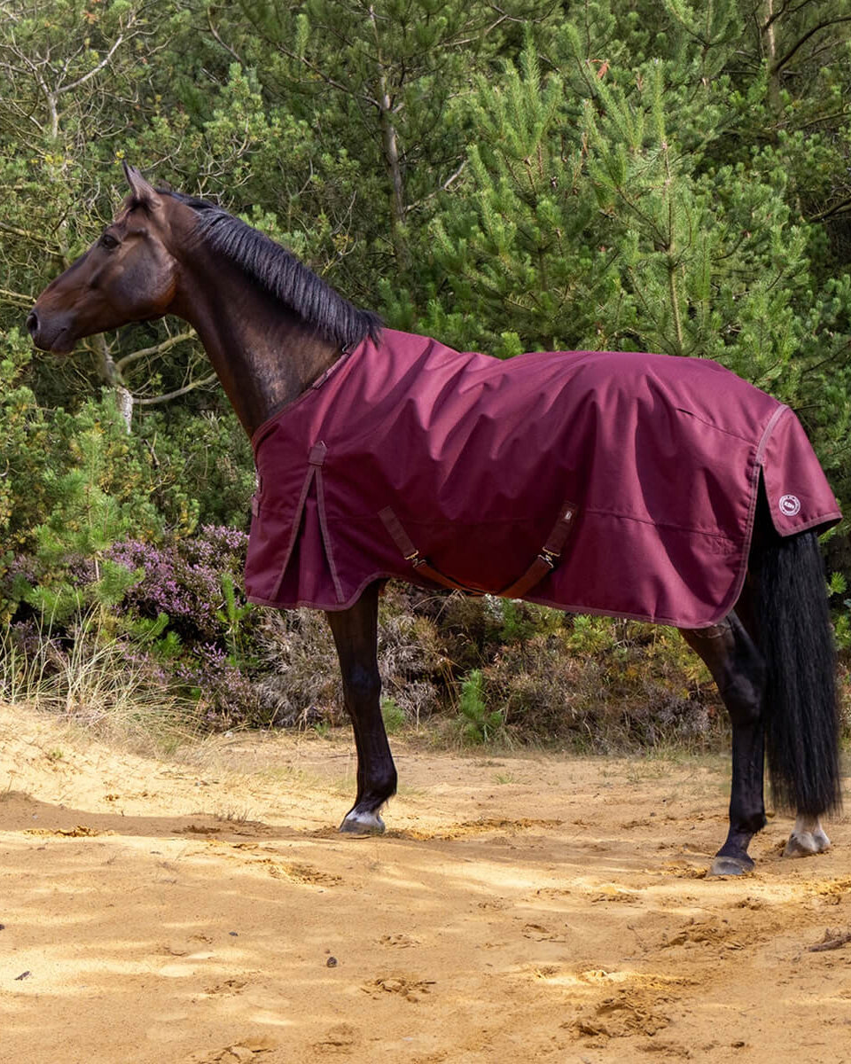 Hest med RBH SPORT regndækken i Dark Bordeaux med 50 g fyld, set fra siden