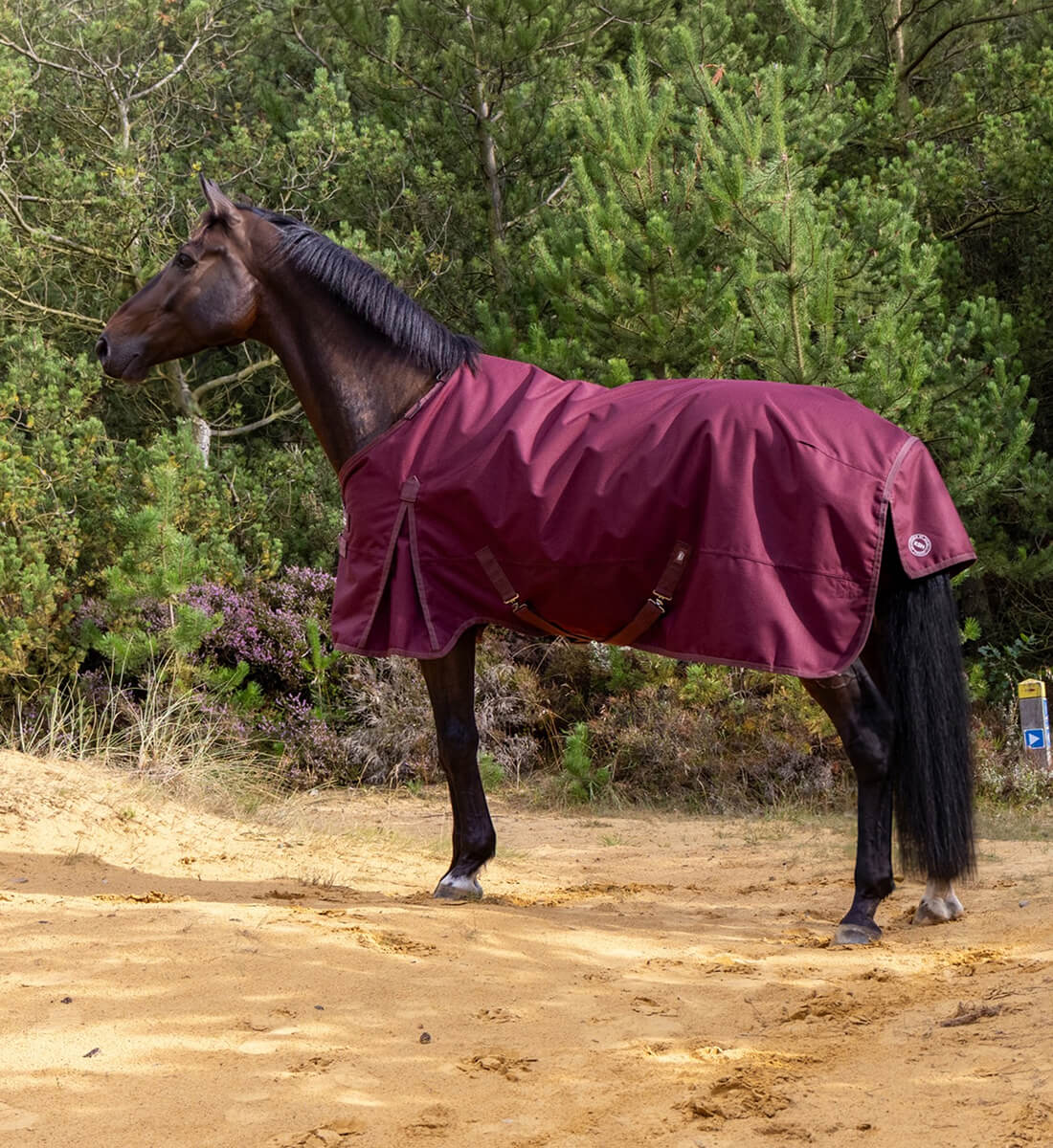 Hest med RBH SPORT regndækken i Dark Bordeaux med 50 g fyld, set fra siden