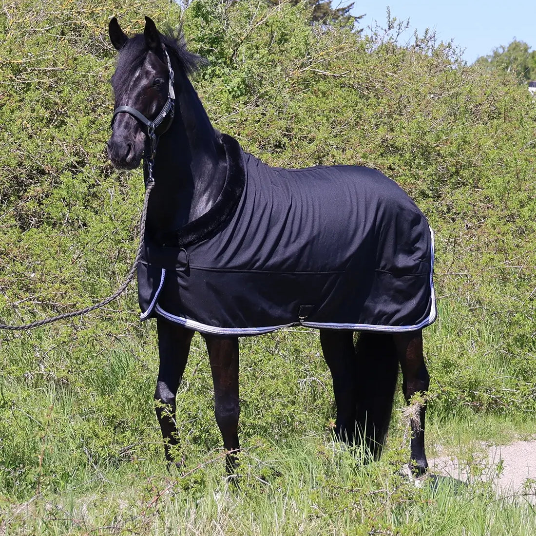 Sort cooler dækken til hest set forfra