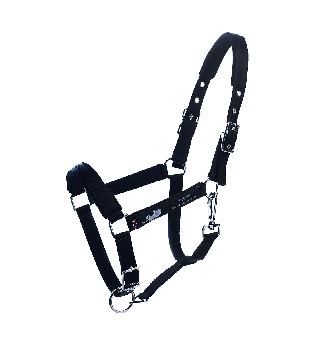 Islænder grime navy studiefoto