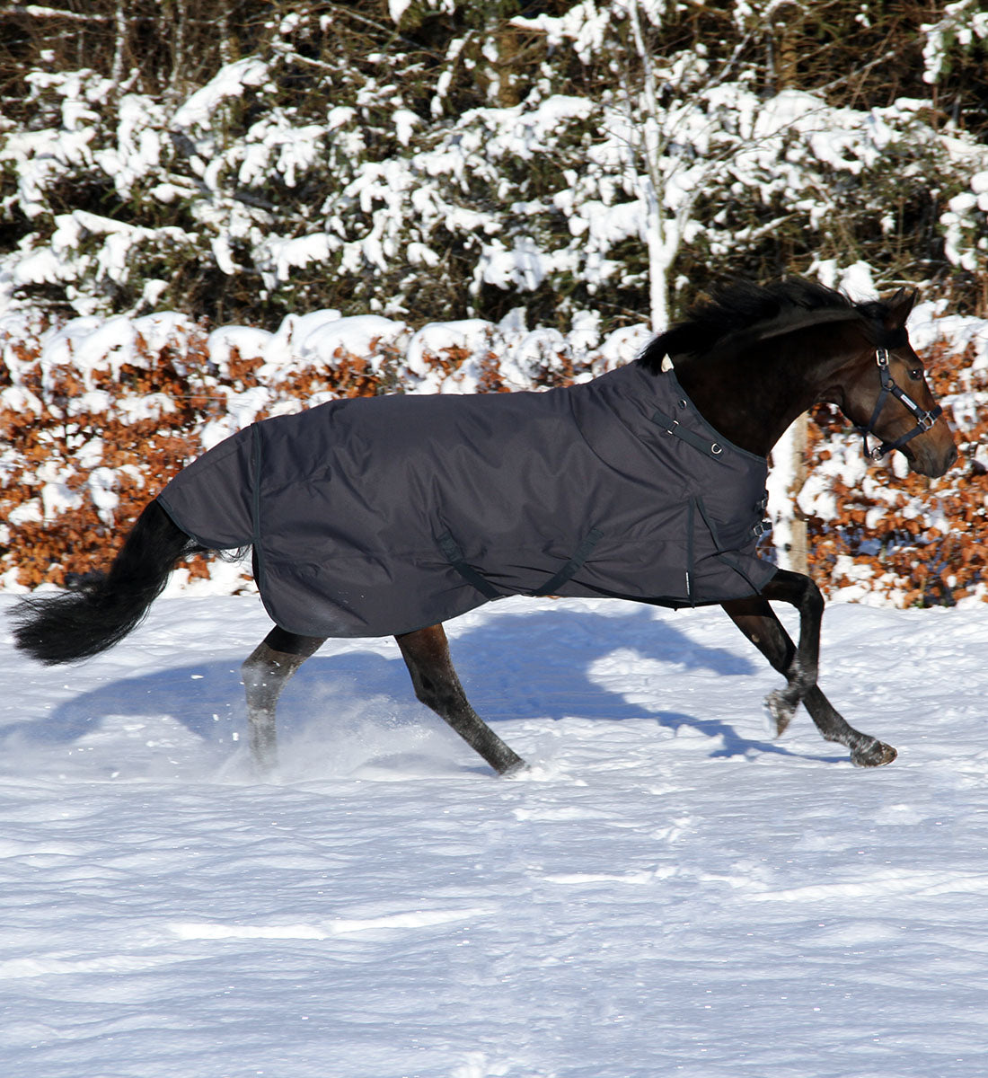Platinum udedækken i tyk 400g
