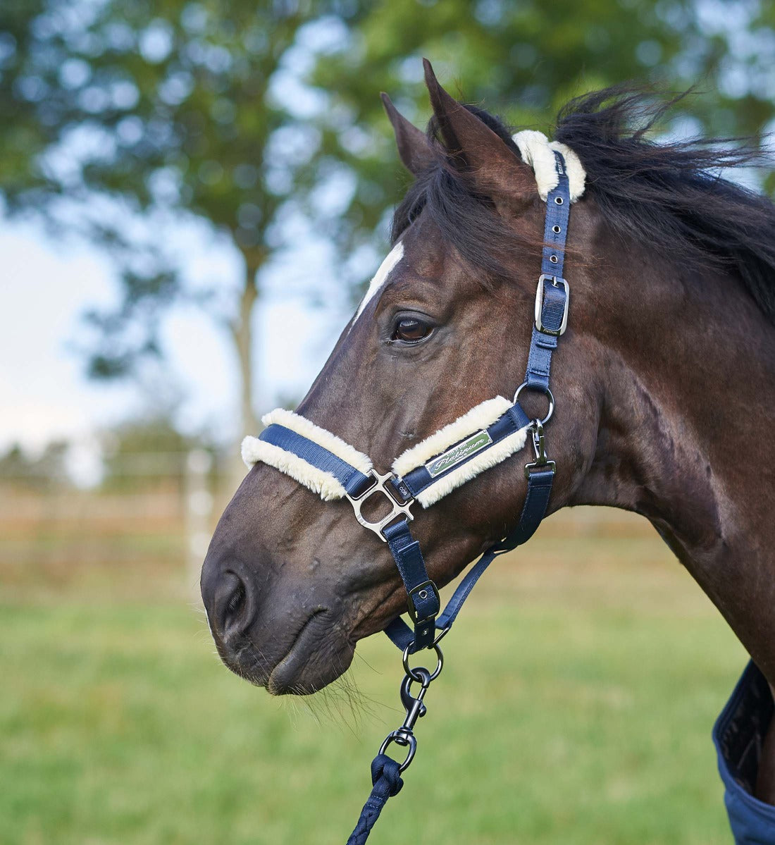Grime med lammeskind til hest