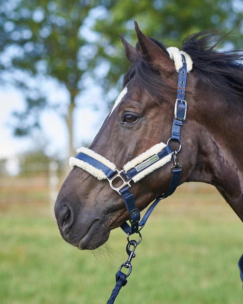 Grime med lammeskind til hest