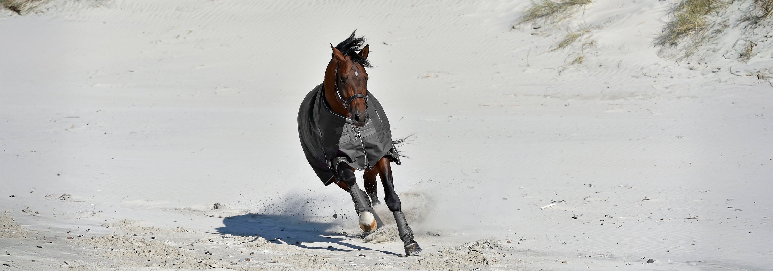 HEST
