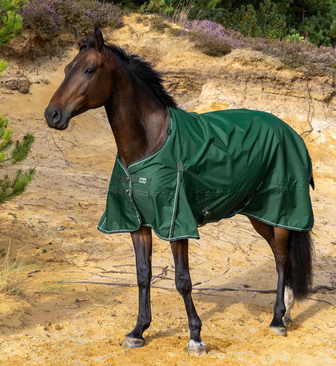 Overgangs eller vinterdækken i 200g - Rain Forest, RBH SPORT