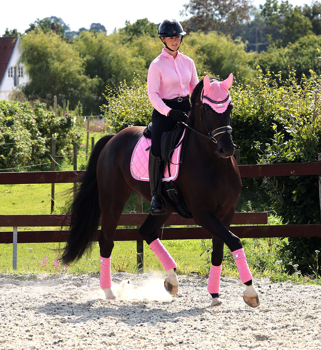 fluehætte i farven Pink vis på hest i trav
