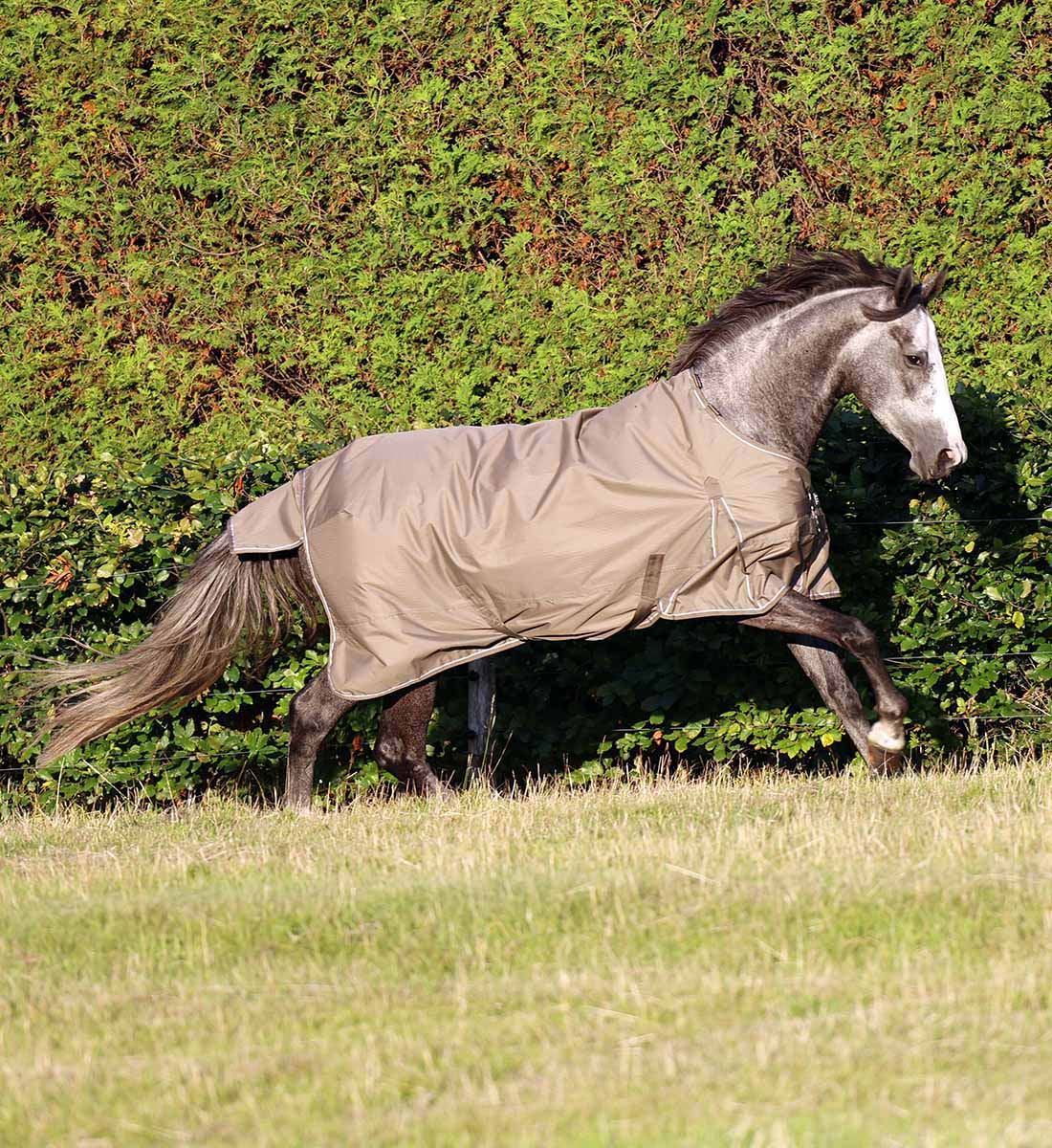 Regndækken i farven walnut, vist på hest i galop.