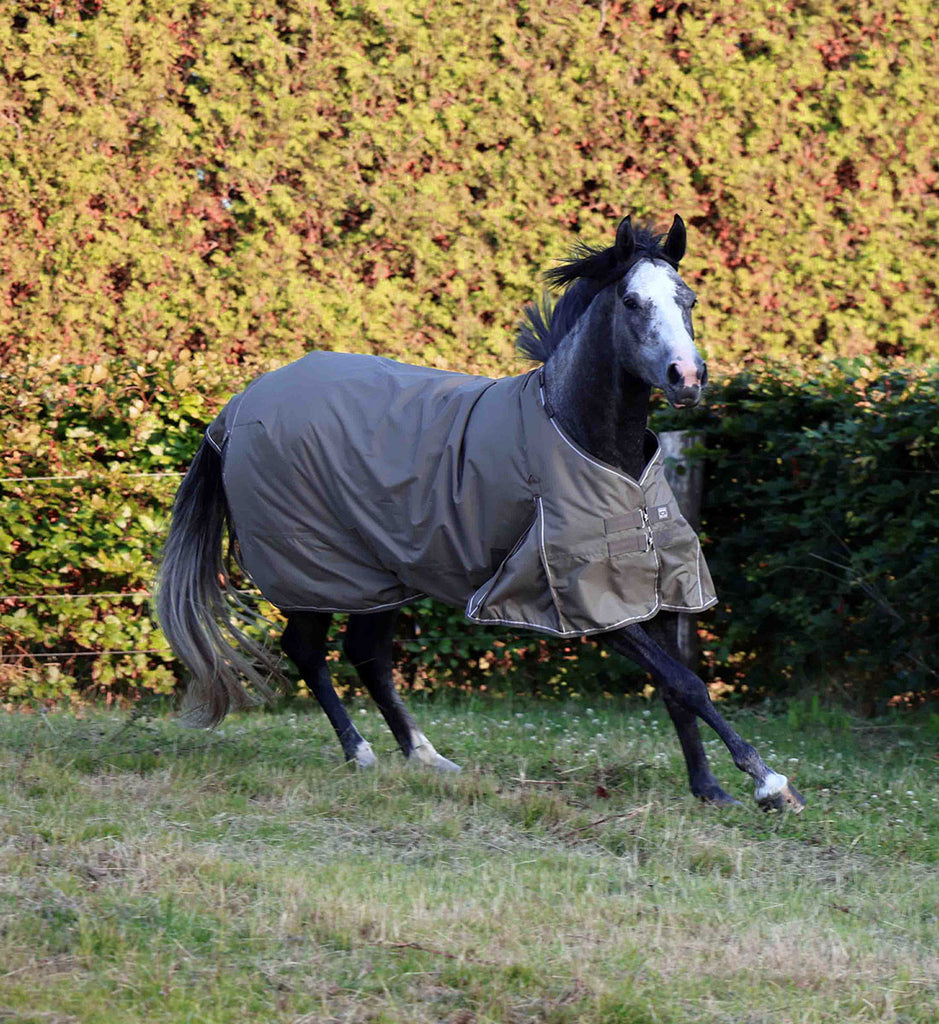 200g overgangsdækken vist på hest i galop i farven walnut.