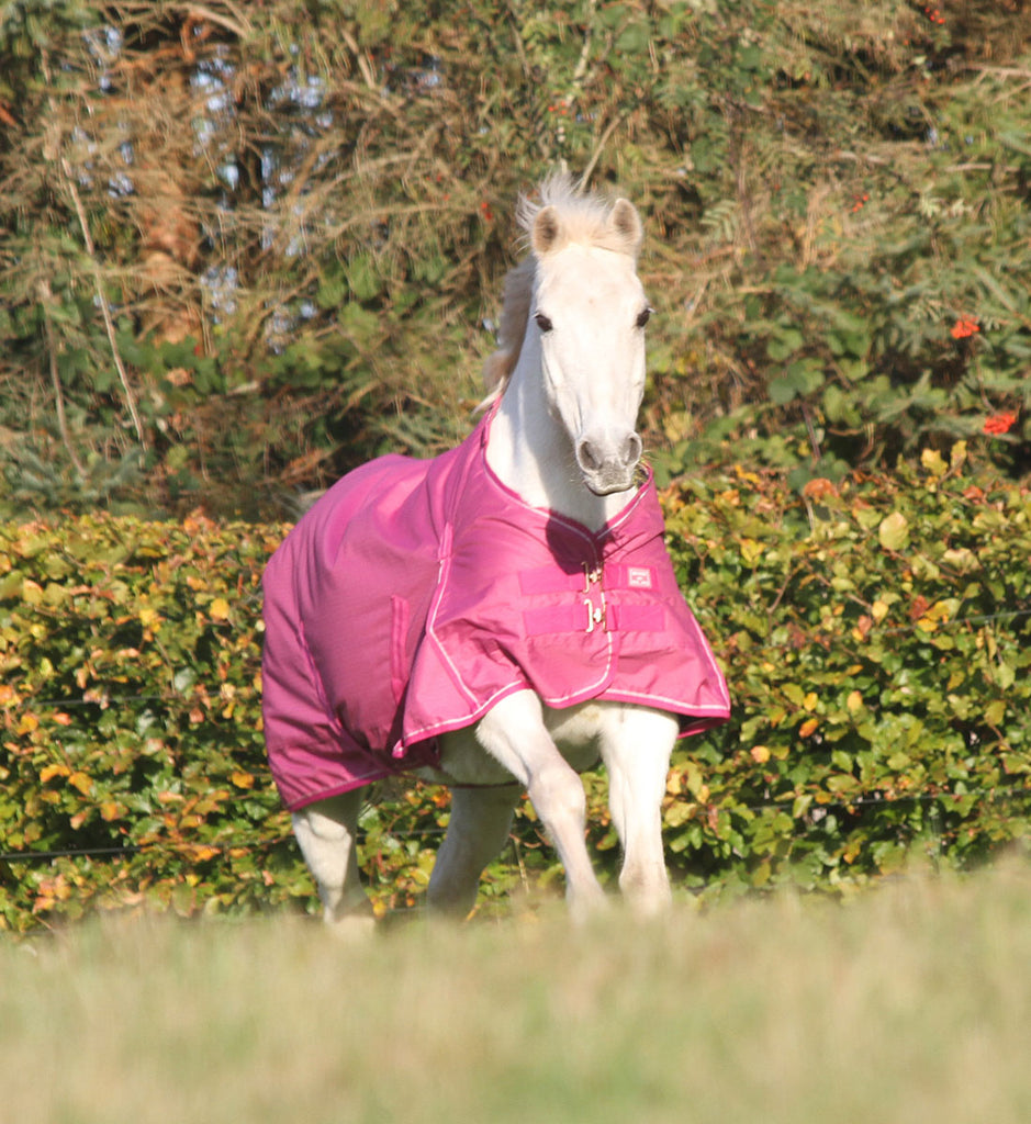 Magenta Haze Pink dækken i 100g set forfra.