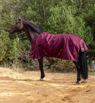 Hest med RBH SPORT regndækken i Dark Bordeaux med 50 g fyld, set fra siden