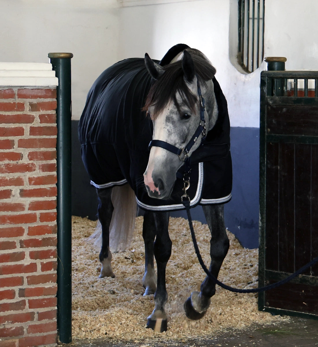 Equestrian R Infinity Infinity - Cooler dækken – Rider by Horse