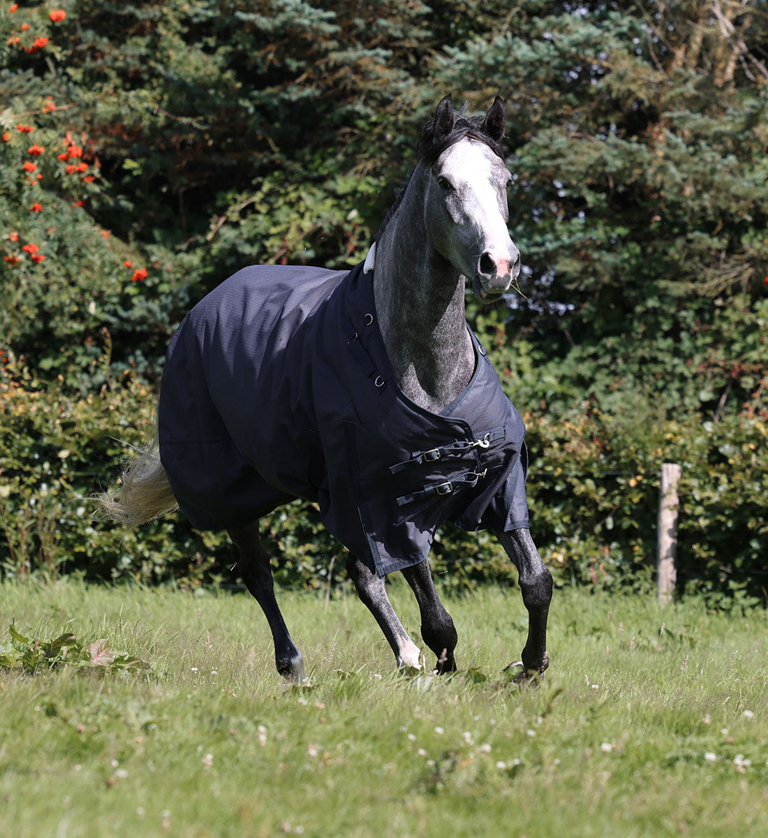 150g udedækken i Platinum med ekstrem høj åndbarhed og vandtæthed. Hest i galop på marken.